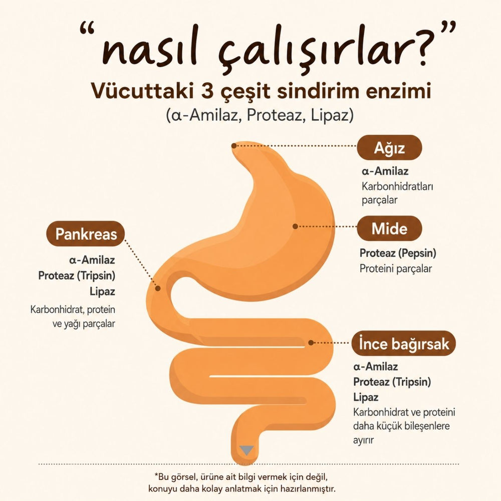 Foodology Grainology Enzyme - 28 Adet