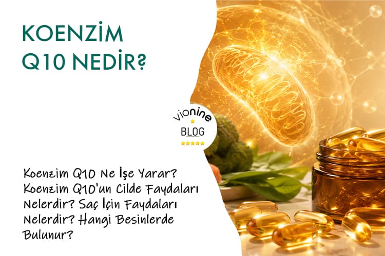 Koenzim Nedir?