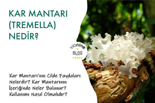 Kar Mantarı (Tremella) Nedir?