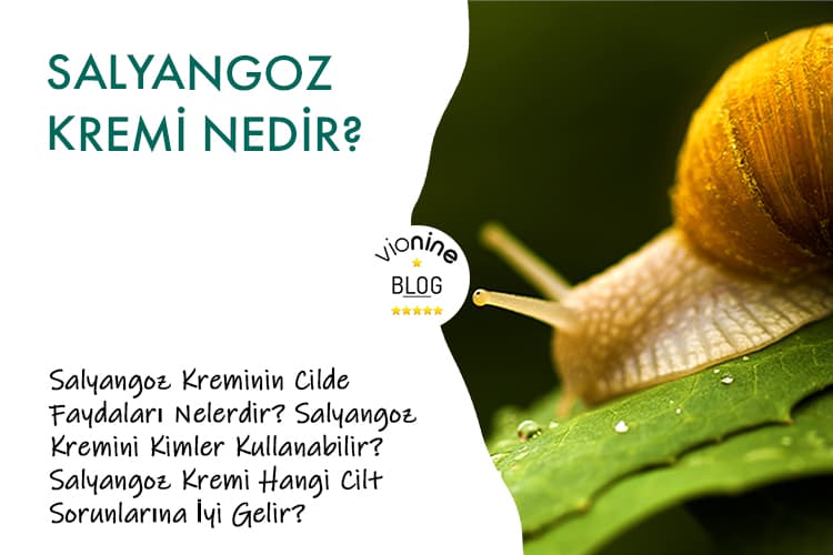 Salyangoz Kremi Nedir?