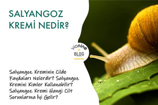 Salyangoz Kremi Nedir?