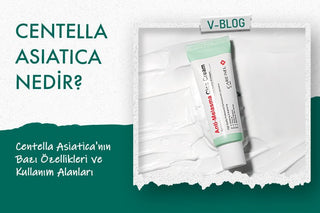 Centella Asiatica (Cica) Nedir? Faydaları