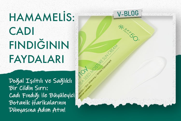 Hamamelis nedir ? diğer adı ile Cadı Fındığının faydaları - Vionine