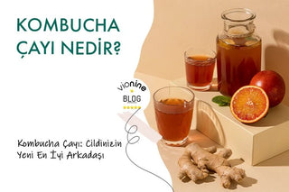 Kombucha Çayı Nedir