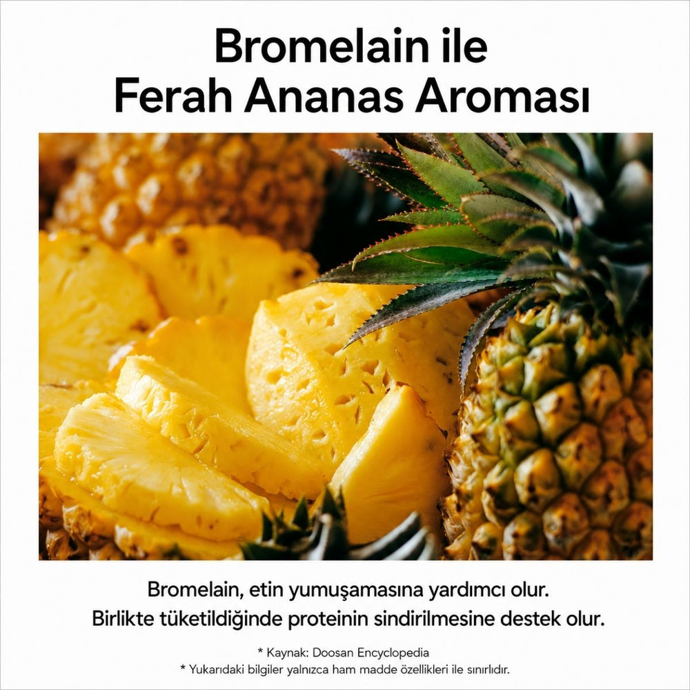 Foodology Pineology Enzyme - 28 Adet