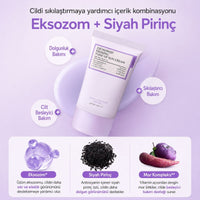 Fully Exosome Firming Tone-Up Sun Cream SPF50+ PA++++ - Sıkılaştırıcı Güneş Kremi 50ml