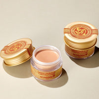Skinfood Salmon Dark Circle Concealer Cream 01