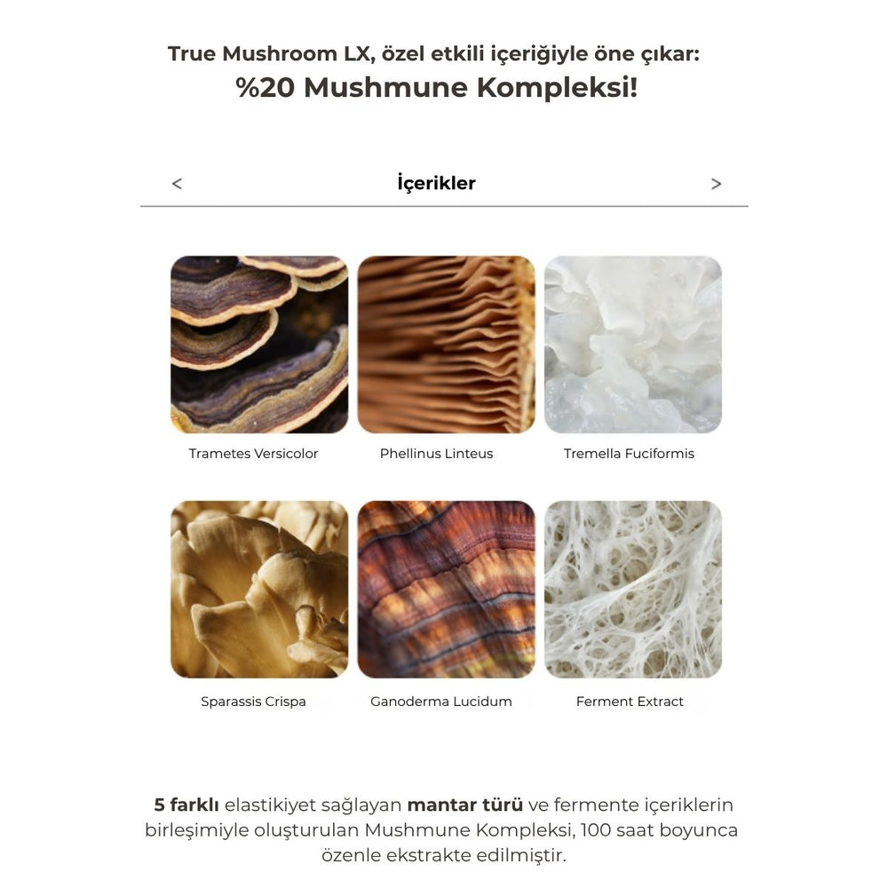 The Saem True Mushroom LX Firming Duo Cream Special Set - Sıkılaştırıcı Set