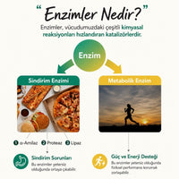 Foodology Pineology Enzyme - 28 Adet