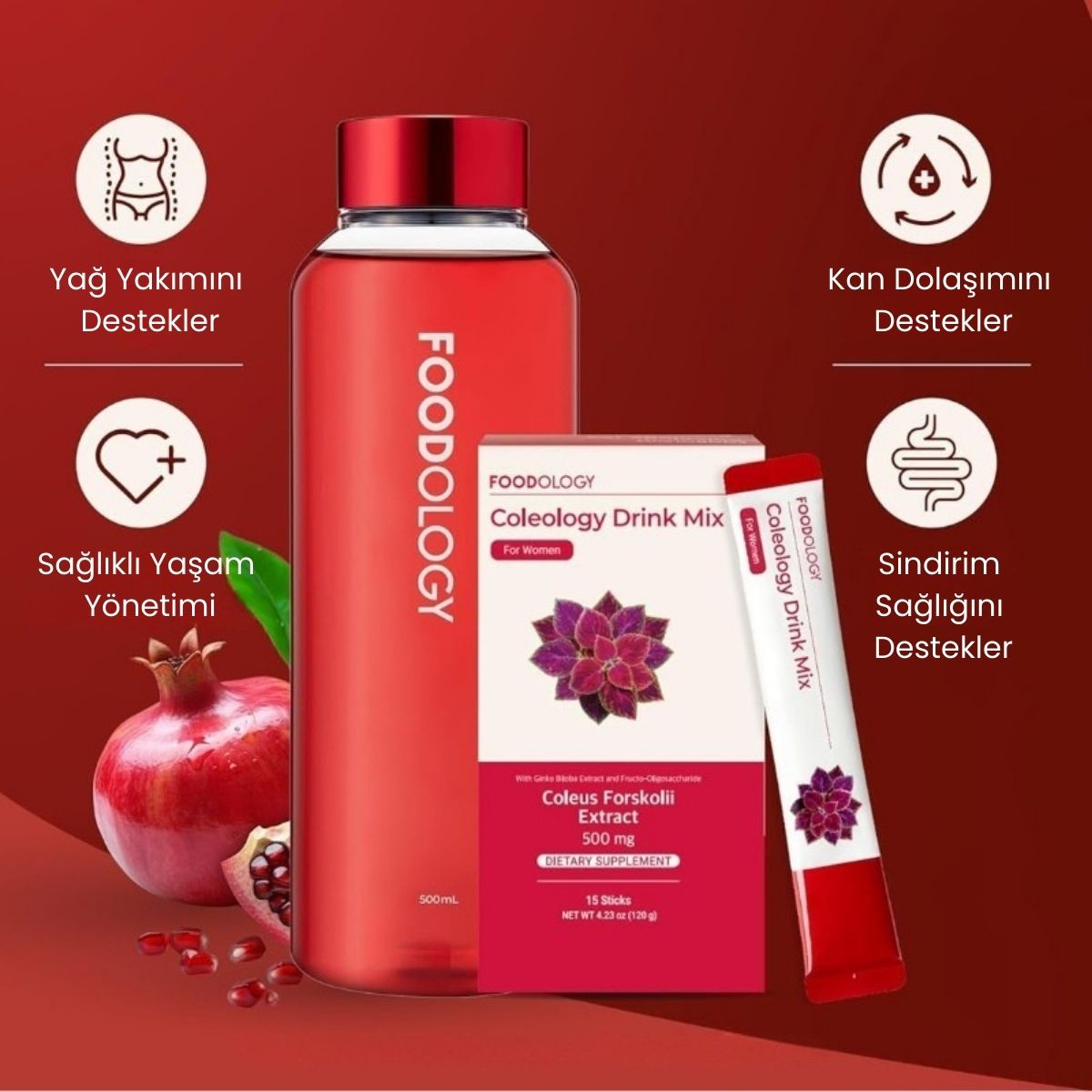 FOODOLOGY Coleology 未使用品　まとめ売り Foodology Coleology Drink Mix PRO | Nar Aromalı Stick İçecek