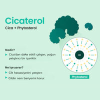 Beplain Cicaterol Moisturizer Cream - Bariyer Krem 60ml