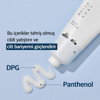 Round Lab 1025 Dokdo Sleeping Pack - Gece Maskesi 100ml