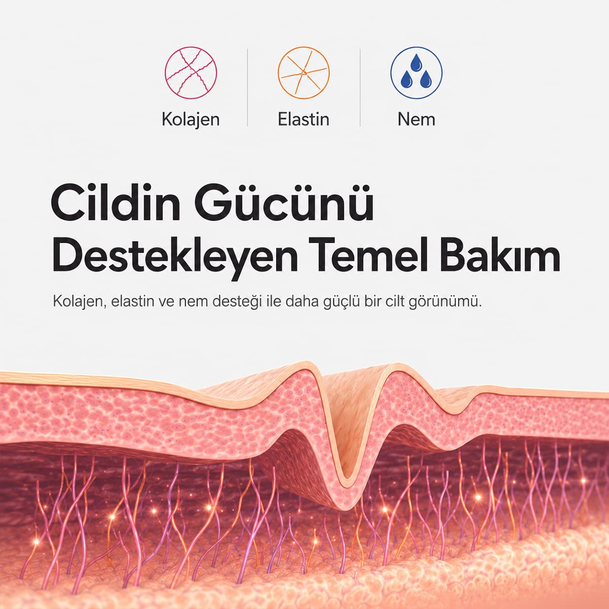 9GF, bakuchiol ve hidrolize kolajen ile cildin nem, elastikiyet ve sıkılık görünümünü destekler.
