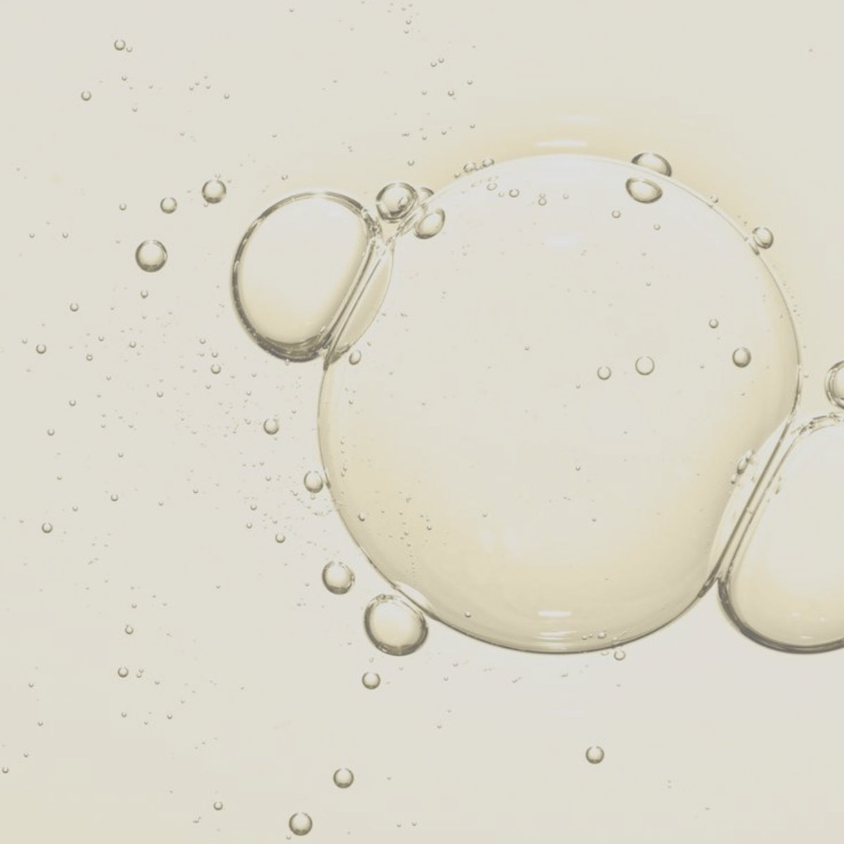 Saccharomyces Ferment Filtrate