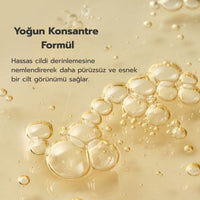 Beplain Cicaterol Ampoule - Bariyer Onarıcı 30ml