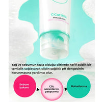 Beplain Cicaterol Hyaluronic Foam - Yatıştırıcı Köpük 120ml