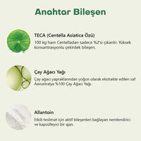 Centellian24 Madeca Power Teatree AC 6g - Centellian24 - Vionine