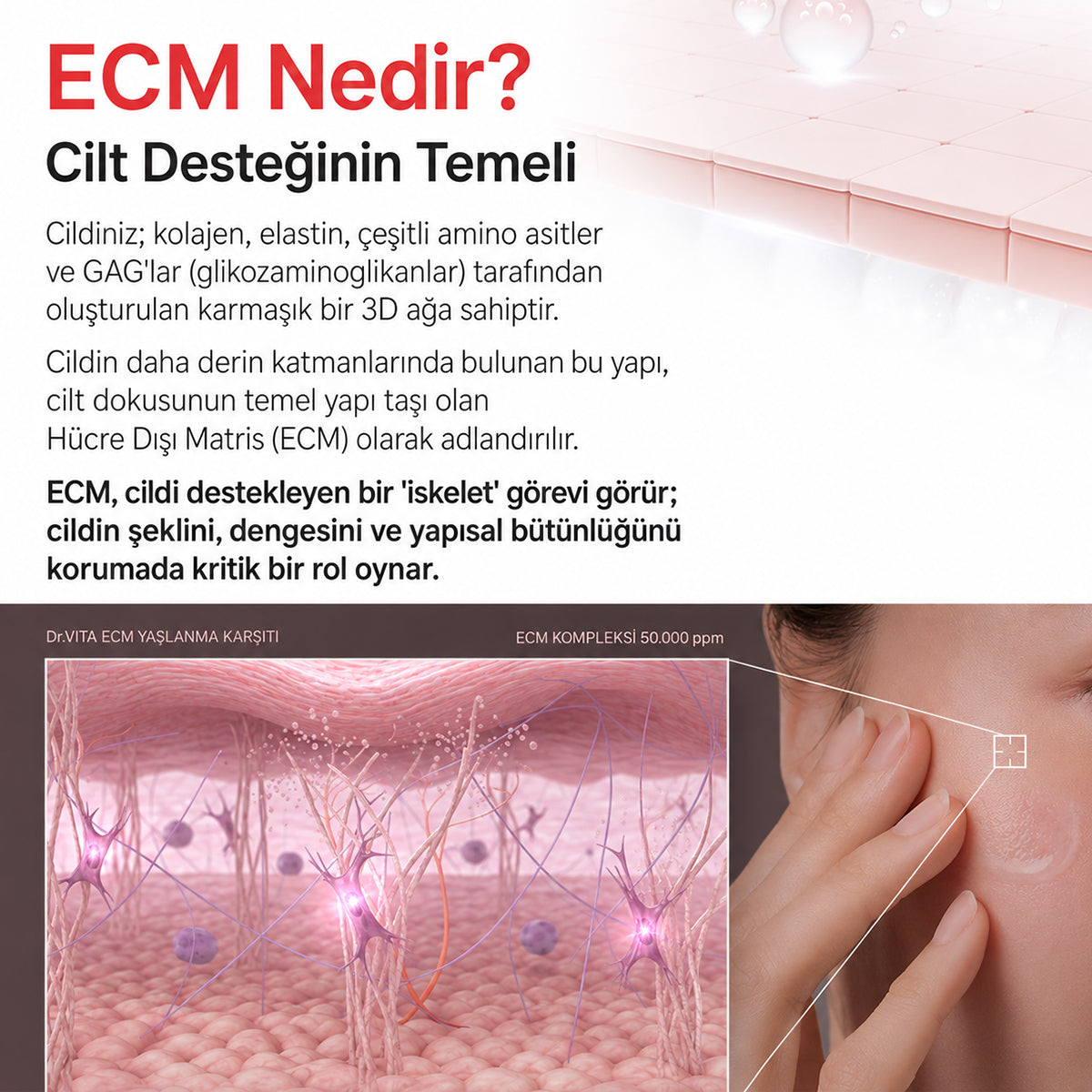 Cildin Destek Yapısını Güçlendir