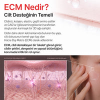 [DAYCELL] Dr.VITA⁺ ECM Yaşlanma Karşıtı Bakım Serum 100ml