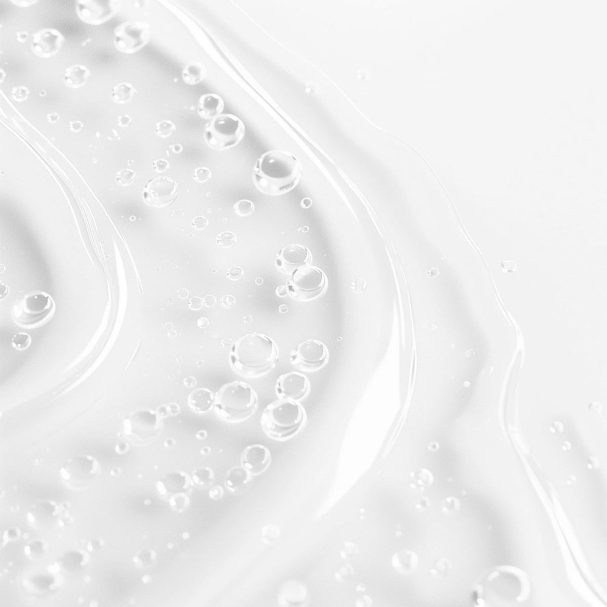 Lactobacillus Ferment