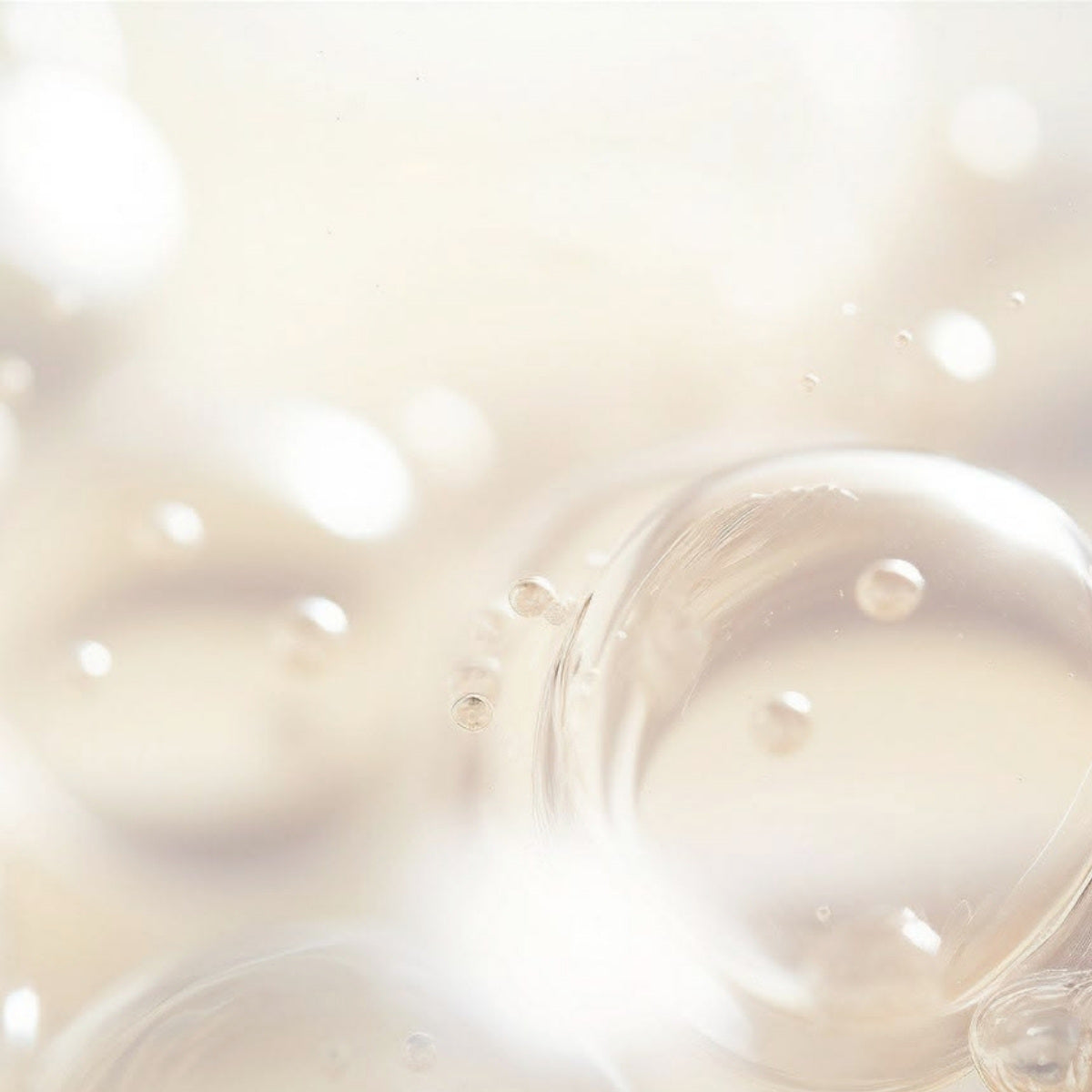 Moringa Oleifera Seed Oil