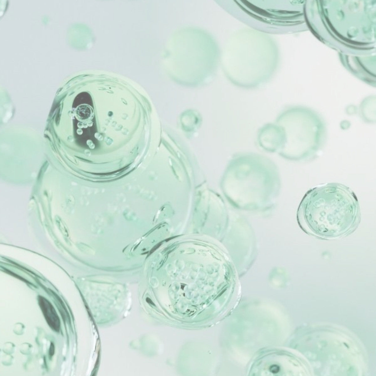 Cica ( Centella Asiatica )