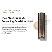 The Saem True Mushroom LX 3'lü Set / Aydınlatıcı & Kırışıklık Karşıtı - The Saem - Vionine