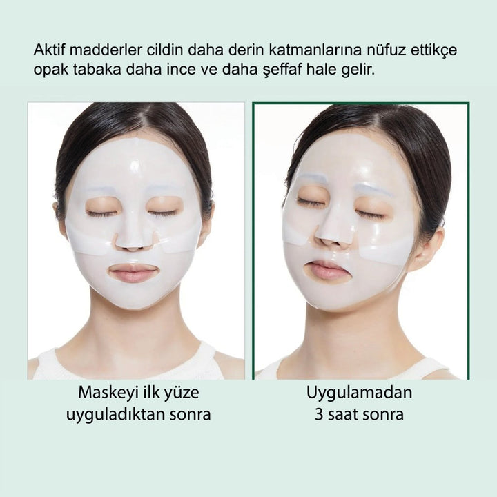 VT Pro Cica Reedle Shot 100 2 Step Hydrogel Mask - VT COSMETICS - Vionine