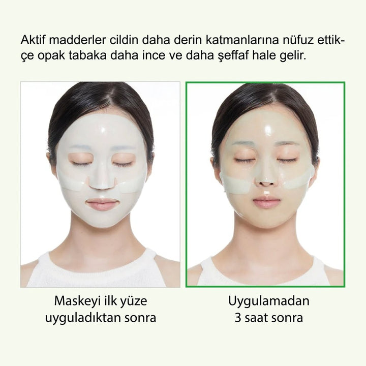 VT Reti - A Reedle Shot & Hydrogel Mask - VT COSMETICS - Vionine
