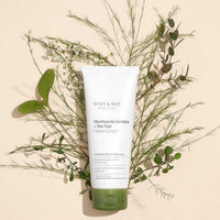 Hassas Ciltler İçin Gözenek Karşıtı Houttuynia Cordata + Tea Tree Temizleme Köpüğü 150 mL - Mary & May - Vionine