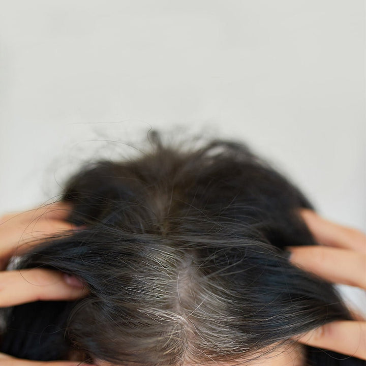 Silk Hair Darkening Beyaz Saçlar İçin Kapatıcı Dökülme Karşıtı Saç Bakım Kremi - Siyah - THE SAEM - Vionine